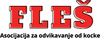 /posao/logo/fles logoo.png